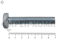 Болт полная резьба, цинк DIN933 10х 70 пр.5,8 (25кг/552)